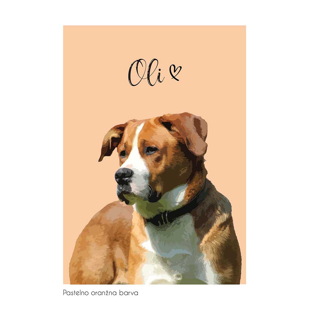 Pasji portret ime s srčkom v oranžni pastelni barvi v zgornjem delu slike.