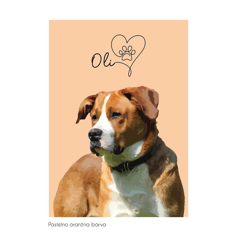 Pasji portret s tačko v srcu v zgornjem delu slike v oranžni pastelni barvi.